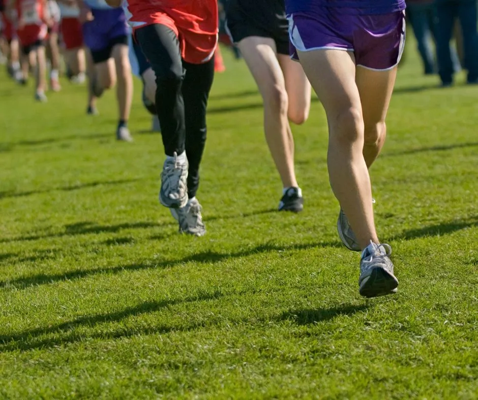 Close-up of a group of runners competing in a cross-country race on grass, showing legs and running shoes in motion.